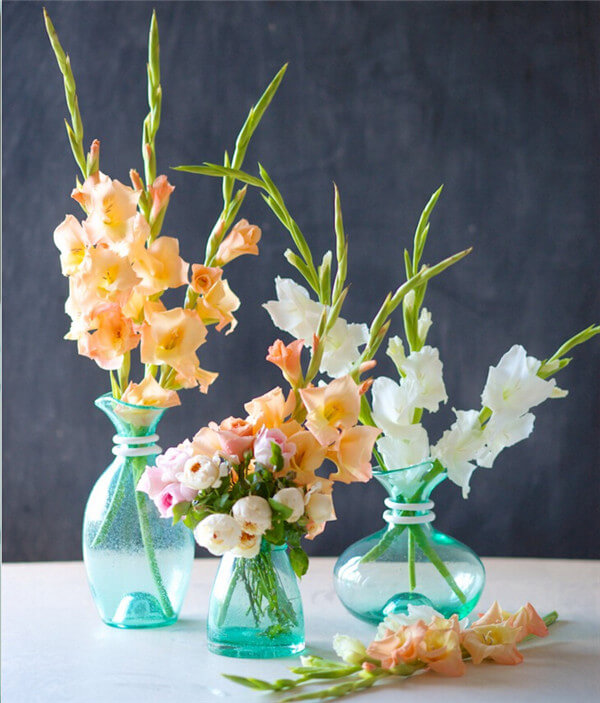 26 Fresh and Charming Flowers in Season in October EverAfterGuide